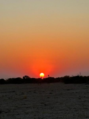 Immage of Africa Safari Tour